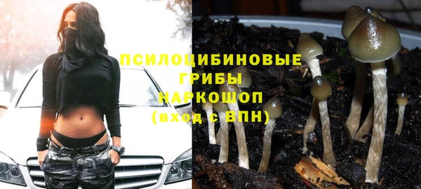 дмт Гусь-Хрустальный