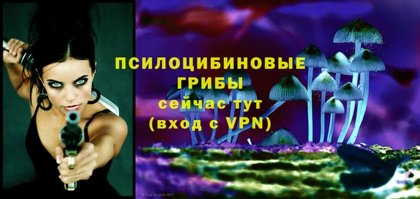 спиды Гусиноозёрск